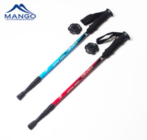hiking stick pair