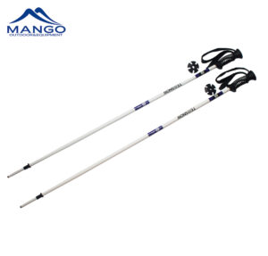 lightweight ski pole