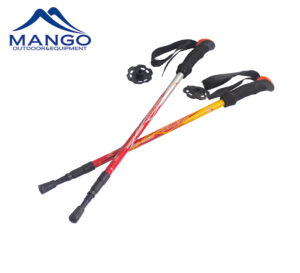 Carbon Nordic walking stick