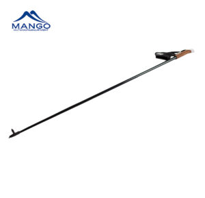 cross country ski pole