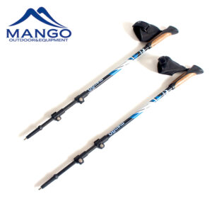 Carbon Nordic walking stick set