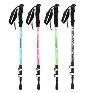 Colorful trekking pole