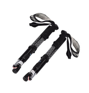 Folding walking stick