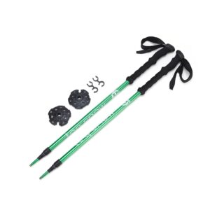 Ski pole