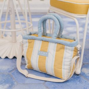 Cooler tote bag
